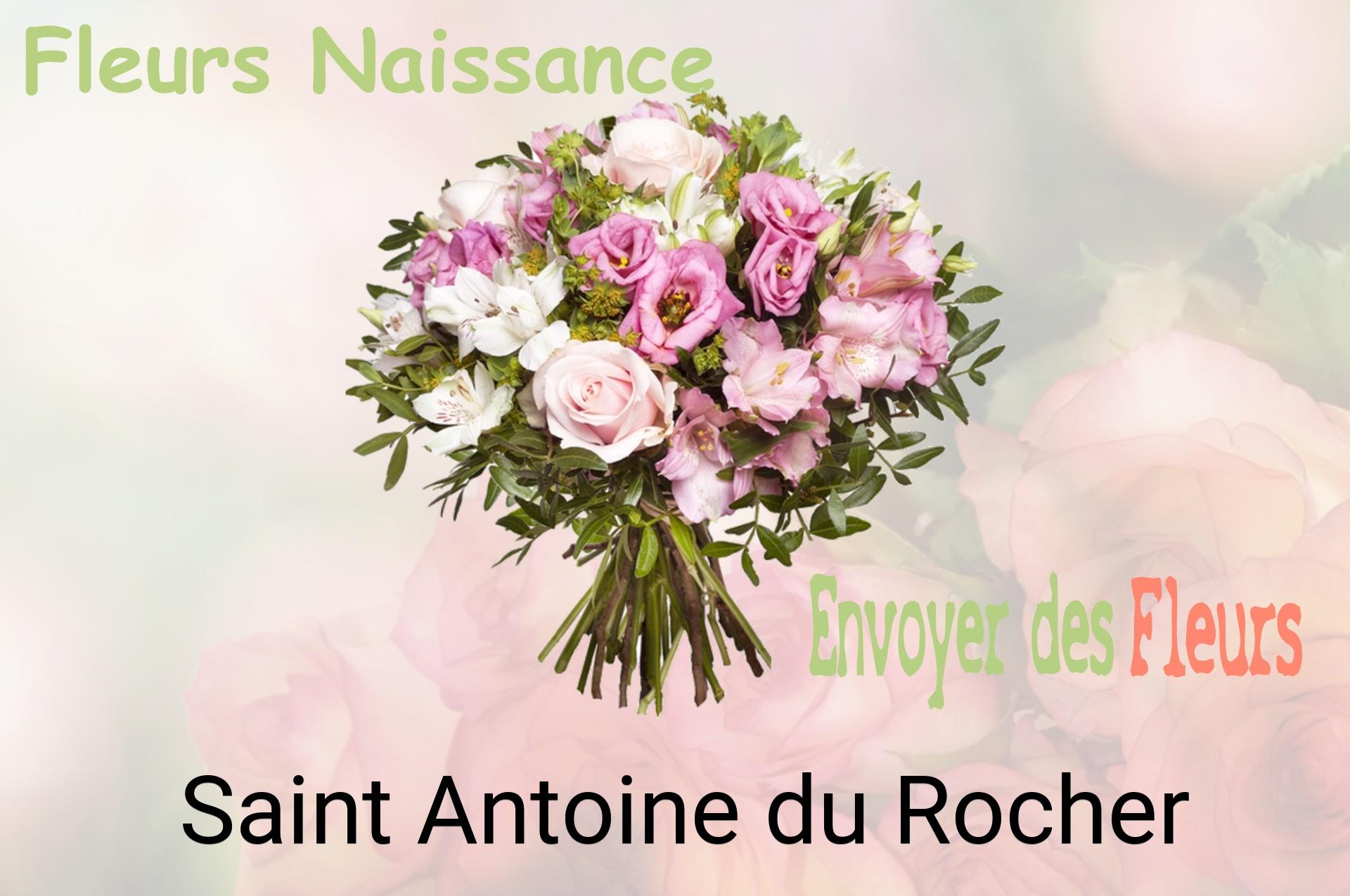 Bouquet de fleurs de naissance livré à Saint-Antoine-du-Rocher